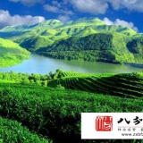 茶业兴于华夏五千年