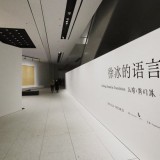 国内最大规模徐冰个展“徐冰的语言”在浦东美术馆开展
