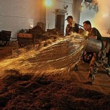 大多数人都不知道串酒分为三种，你确定喝的酱酒不是串酒吗？ (大多数人都不知道的动物)