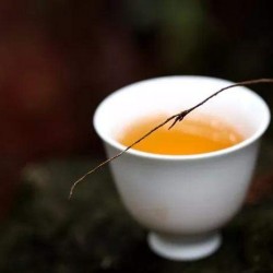 “水浸出物”是什么？与普洱茶品质有何关系？