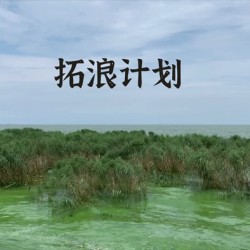 “拓浪计划”将污染变为艺术 清华学子让蓝藻成为作品