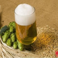 别不信！老酒友也未必能分清生啤和熟啤 