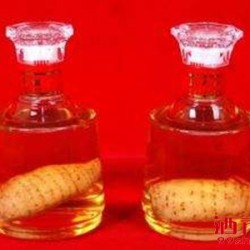 少数民族的配制酒五花八门 丰富多样 