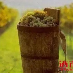 为什么有机、生物动力与可持续发展葡萄酒更贵？ 