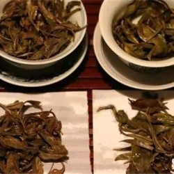普洱茶有台地茶吗？如何鉴别古树茶？(普洱茶台地茶和大树茶的区别)