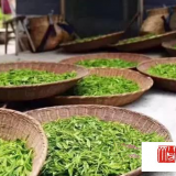 茶界中国第五集《人间生草木》之茶马古道素身寻茶