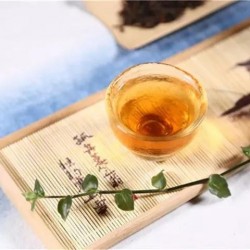 为什么云南能出名茶“普洱茶”