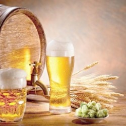 精酿啤酒酿造之原料篇（一） 麦芽 
