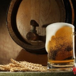 自酿啤酒 全麦芽快速酿制啤酒的方法 