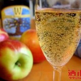 苹果酒的酿造方法 