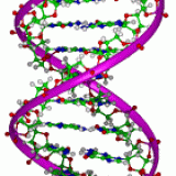  DNA书画防伪保存技术介绍(图)